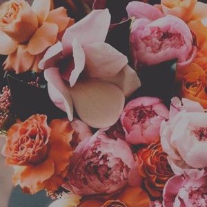 Meet your Posher, Lexi